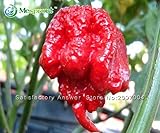 100 seeds / pack, Vegetable Pepper Seeds, Carolina Reaper Hot Red Pepper