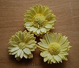 ~Coco Heart~　ソーラーマーガレット　イエロー　３個セット　（ 　ハロウィン　クリスマス　母の日　ギフト　ハンドメイド　木の実・ドライフラワー）