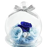 TEATSIGHT プリザーブドフラワー フラワーアレンジ ラッピング済み ガラスポット入り バラ 5輪 （ブルー）