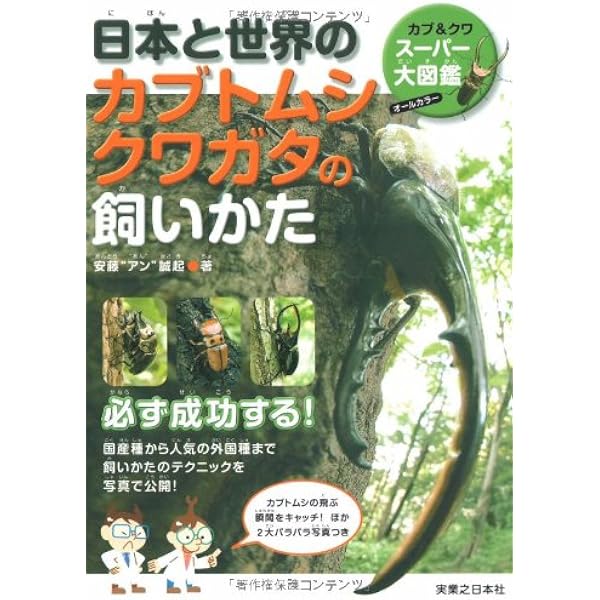 日本と世界のカブトムシ クワガタの飼いかた | 安藤“アン”誠起 |本