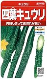 サカタのタネ 実咲野菜0471 四葉キュウリ キュウリ 00920471