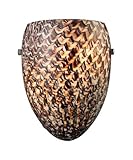 Elk 11316/1C-G Night Glow 1-Light Sconce In Cocoa And Polished Chrome Finish Glows In The Dark [並行輸入
