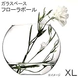 ガラスベース フローラボール XL 24cm エアプランツ 多肉植物 ティランジア ガラス