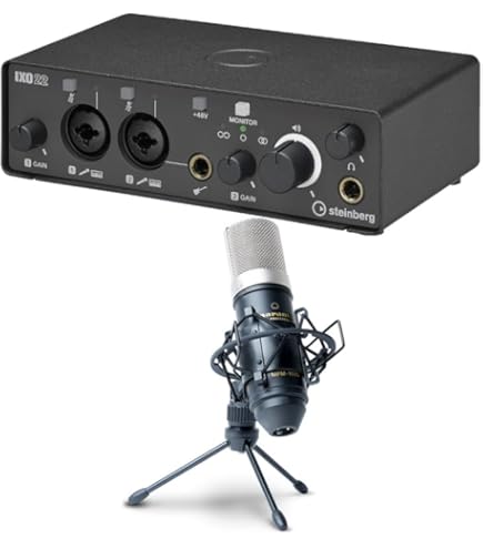 オーディオインターフェース steinberg IXO22 steinberg IXO22 ブラック オーディオインターフェース
