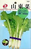 山東菜　タネ