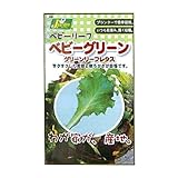 カネコ種苗 園芸・種 KS100シリーズ ベビーグリーン グリーンリーフレタス 野菜100 705