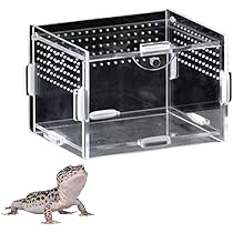 ケージ　カナヘビ　トカゲ　爬虫類　虫かご　飼育ケース　UVBライト　LED Amazon | Niesporek 爬虫類 トカゲ ケージ カナヘビ飼育ケース