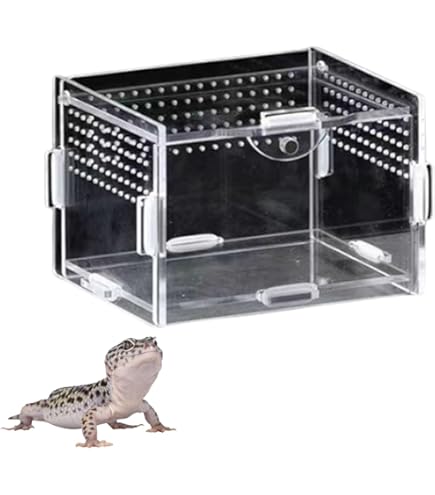 レプタイルボックス5個セット　SANKO Amazon | レプタイルボックス | SANKO(三晃商会) | 飼育ケース