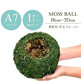 【資材苔玉Ａ７サイズ】資材苔玉　16～20cmの苔玉 (1カートン（8個セット）)