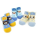 Piccolo ソックス(9～11/12～14cm) キムラタンの子供服 (24101-8888) クマ 9～11