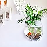 Etopfashion 金魚鉢 壁掛け式 透明 水槽 インテリア飾り 熱帯魚 栽培 植木鉢 花瓶 観葉植物 を入れて 金魚の小鉢 ミニ水族館 雑貨 飾り ホームデコレーション 3サイズ