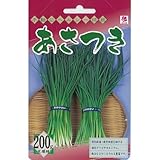 あさつき 200 g