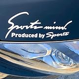 Ｓｐｏｒｔｓ ｍｉｎｄ 車 バイク ステッカー デカール シール 汎用 サイド ドレスアップ スポーツマインド sports mind 全8カラー 4サイズ (全文字ホワイトシルバー, Sサイズ 19×7cm)