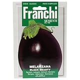 野菜の種 ナス・ブラックビューティー 90/21