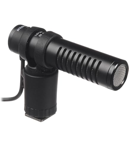 Amazon | Canon 指向性ステレオマイクロホン DM-100 | 外付けマイク 通販