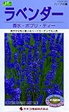 カネコ種苗 ハーブタネ281 ハーブ ラベンダー 10袋セット