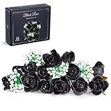 HI-REEKE フラワーローズブーケビルディングブロックセット、人工ブラックローズボタニカルビルディングセットおもちゃ女性用-660ピース