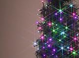 タカショー ローボルト LEDストレート 100球 大人マルチ