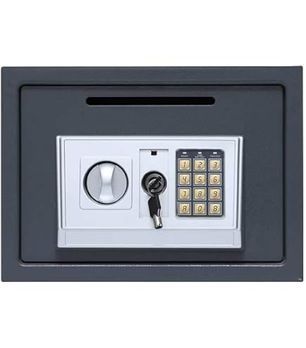 小型　金庫 Amazon.co.jp: ZXZMX 金庫 小型 現金投入口付き 耐火 家庭用 マイクロ