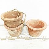モスポット レッド３鉢 植木鉢 陶器鉢 テラコッタ鉢 素焼き鉢 鉢底穴アキ プランター おしゃれな植木鉢 mossポット