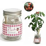 Garden Jar ガーデン・ジャー 3色トマト ピンク