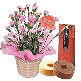 母の日 花とスイーツ ギフト カーネーション 鉢植え 5号鉢 ピンク グランミリオン バウムクーヘン セット　プレゼント 用 ギフト ボックスでお届け