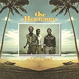 ナイト・フード