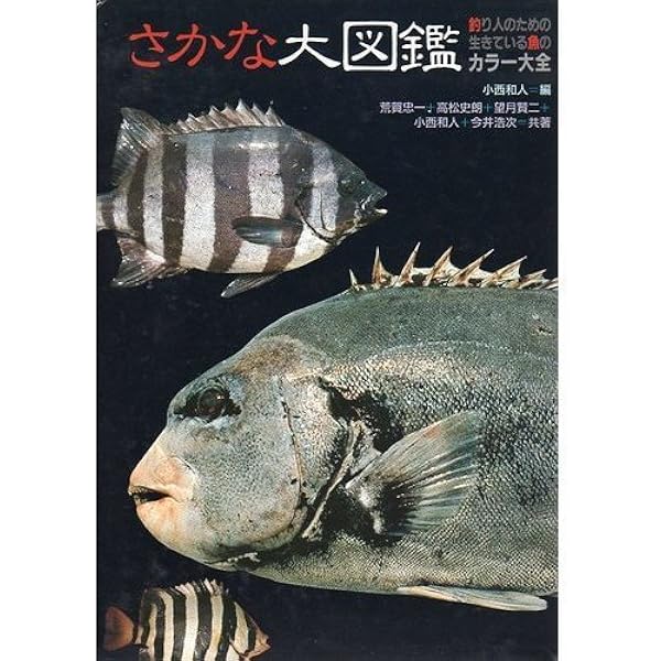 新さかな大図鑑 | 荒賀 忠一, 中坊 徹次, 今井 浩次, 望月 賢二, 小西