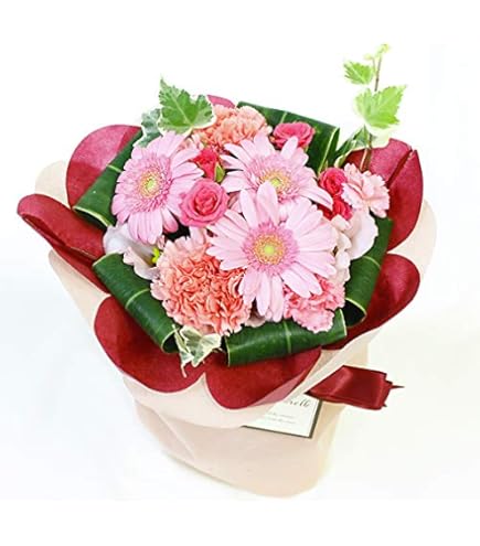 Amazon.co.jp: アルジャーノンに花束を ユースケ サンタマリア DVD全巻