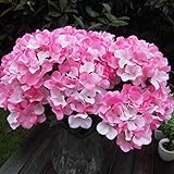 Auntwhale 人工シルクフェイクフラワーバンチブーケホームホテルウェディングパーティーガーデン花インテリアアジサイ