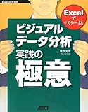 Excelでマスターするビジュアルデータ分析 実践の極意 Excel 2010対応