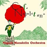 �J�t�F�E�i�|���^�[�i