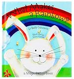 What Makes a Rainbow? Magic Ribbon Book by Piggy Toes Press