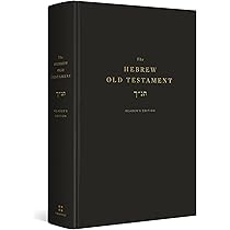 51y5RcHY8cL._AC_UL210_SR210,