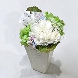 プリザーブドフラワー/ホワイト カーネーション　アレンジ　ふわり