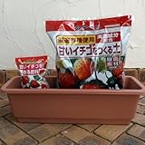 いちご用　ホームプランター65TRと土と肥料のセット ノーブランド品