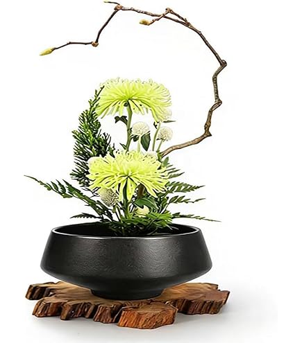 Amazon.co.jp: [GZGZ] 敷板 華道 S 花台 道具 苔玉 生け花 生け込み 丸