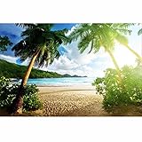 7x5ft seaside beach summer theme photography vinyl backdrop
