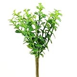 Shinoda Design Center 0031301160 2 Piece Faux Succulent Stem Set 9.5 Green【クリスマス】【ツリー】 [並行輸入品]