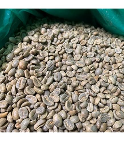 Amazon.co.jp: 【コーヒー生豆】 エルサルバドル SHG ジュリア Q