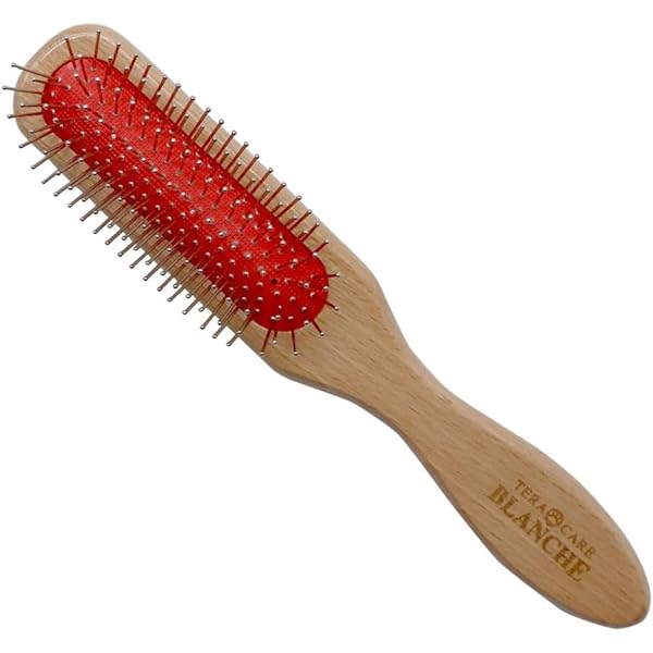 新品⭐︎未使用　Tera Brush テラブラシ TERA BRUSH テラブラシ 【公式通販】