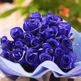 青いバラ ブルーローズ 青ばら10本の花束 キラキラ白いかすみ草付き 生花　花言葉「可能性」「神の祝福」