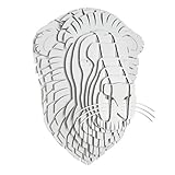 Cardboard Safari Giant Leon Lion Bust (White) [並行輸入品]