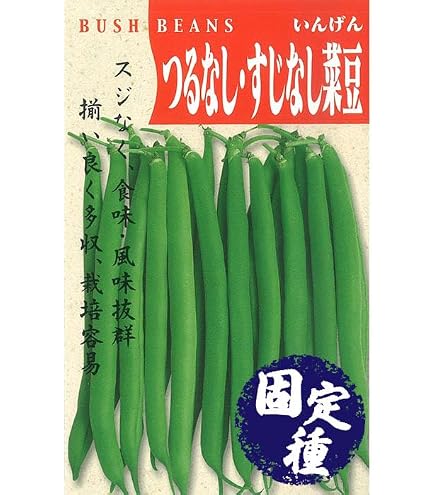Amazon | グリーンフィールド 野菜有機種子 つるなしインゲン [小袋