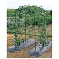 第一ビニール 菜園つる棚セット TDS1.8 80cm×180cm