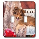 3dRose lsp_207518_2 Shetland Sheepdog Lying on A White Wicker Couch and Doily, Mr Double Toggle Swit