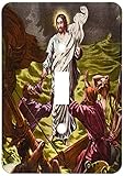 3dRose LLC lsp_42959_1 Jesus Walks on Water, Single Toggle Switch