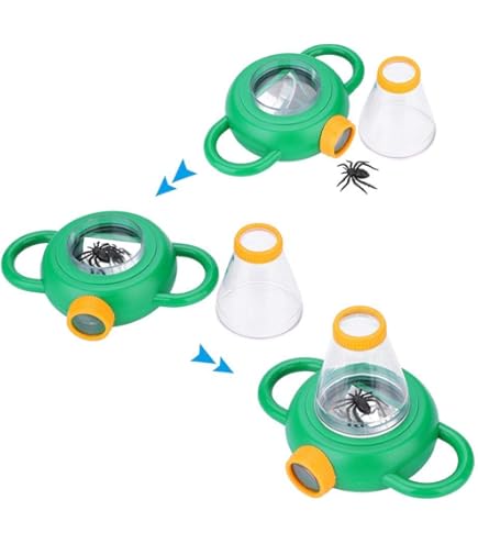 小学校受験マスター　教材セット　季節　野菜　果物　動物　生き物　昆虫　花　知育 Amazon | 小学校受験マスター 教材セット 季節 野菜 果物 動物