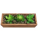 Rusticガーデン木製プランターW / 3人工グリーン多肉植物& Moss /長方形植物コンテナボックス