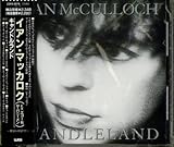 �L�����h�������h